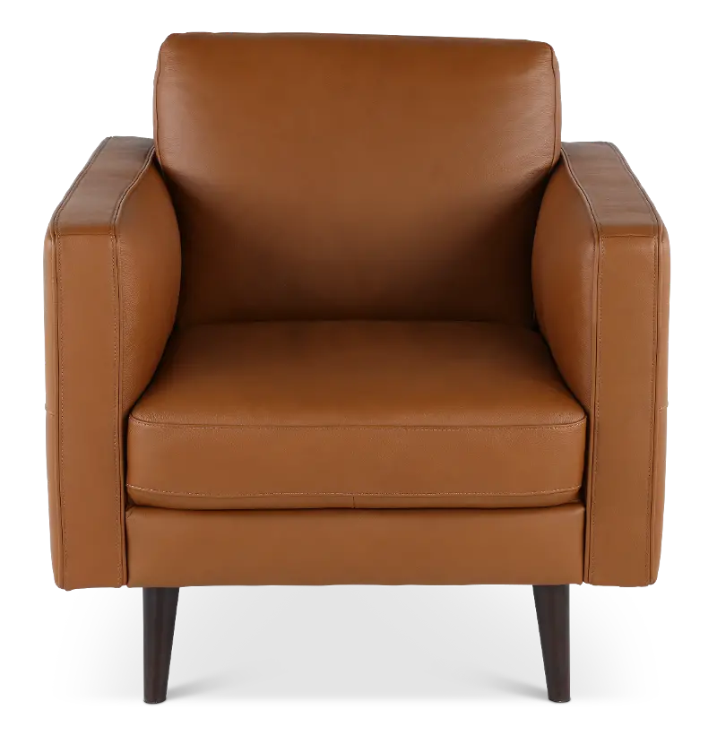 Destrezza Brown Leather Accent Chair
