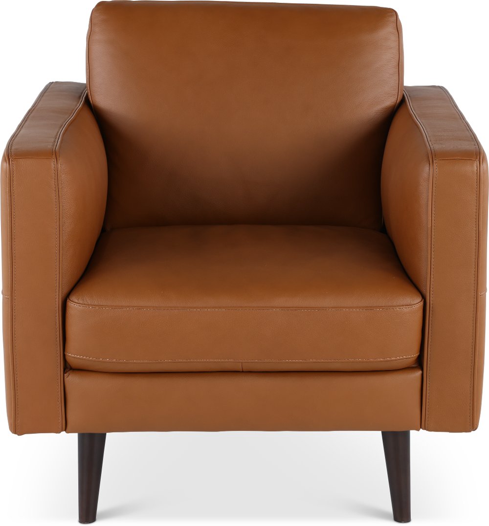 Destrezza Brown Leather Chair