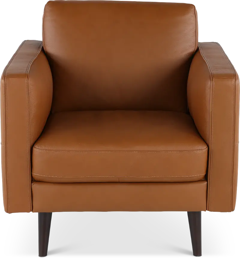 Destrezza Brown Leather Chair