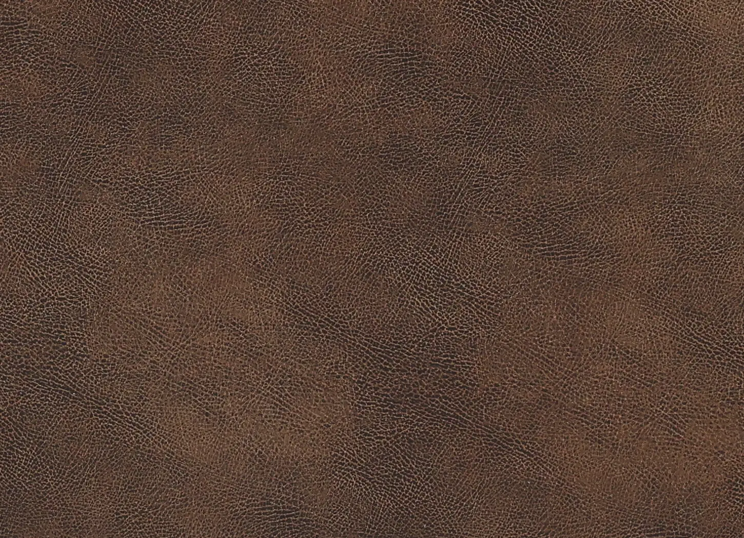 Canyon Brown Sofa-8