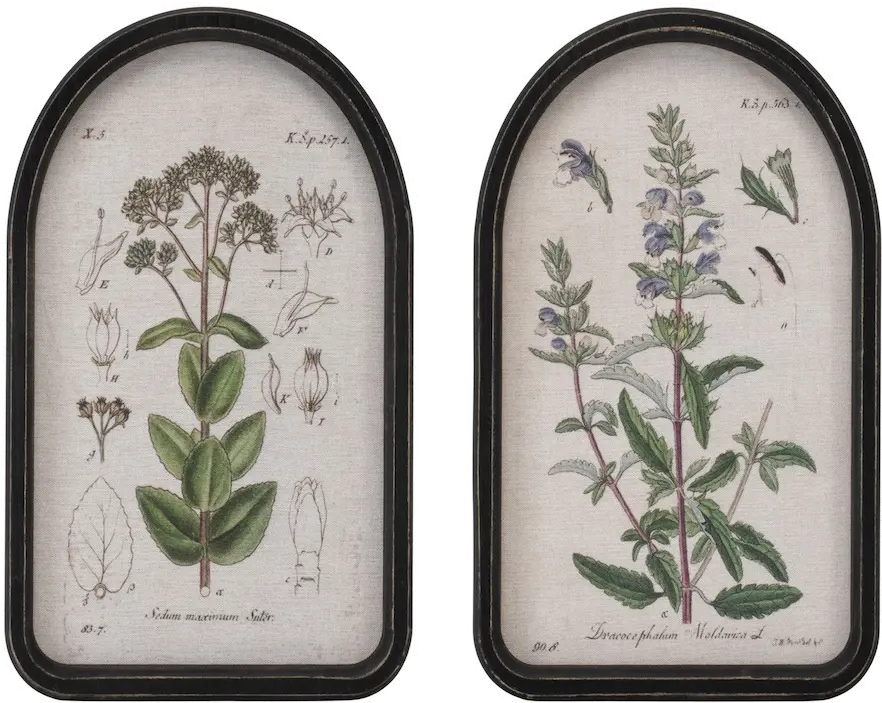 15.75 Inch Assorted Floral Framed Prints-1