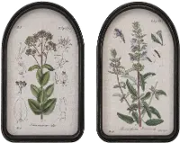 15.75 Inch Assorted Floral Framed Prints