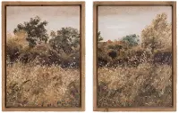 21 Inch Nature Framed Art