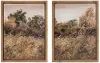 Assorted 21 Inch Nature Framed Art