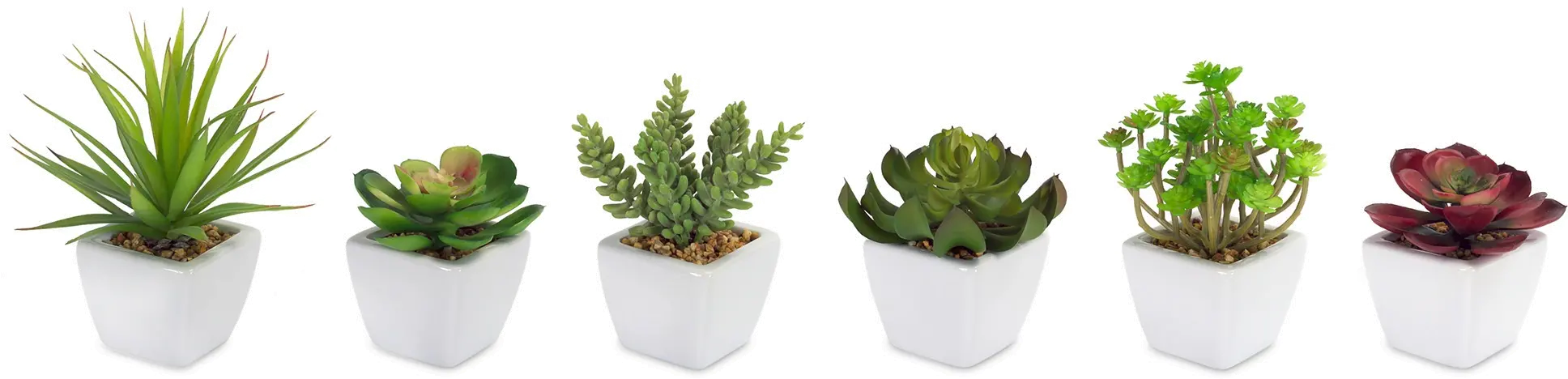 Assorted White Botanical Pot-1