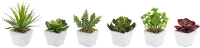 Assorted White Botanical Pot