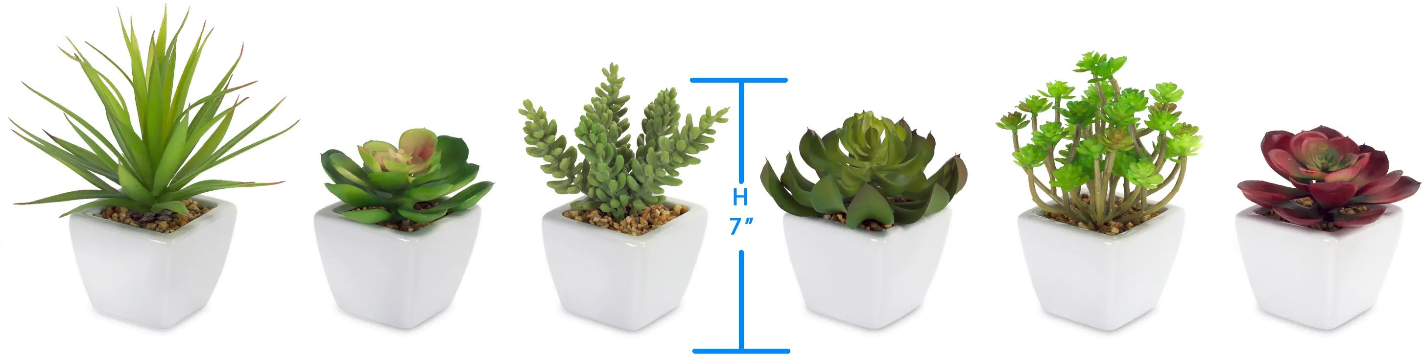 Assorted White Botanical Pot-3
