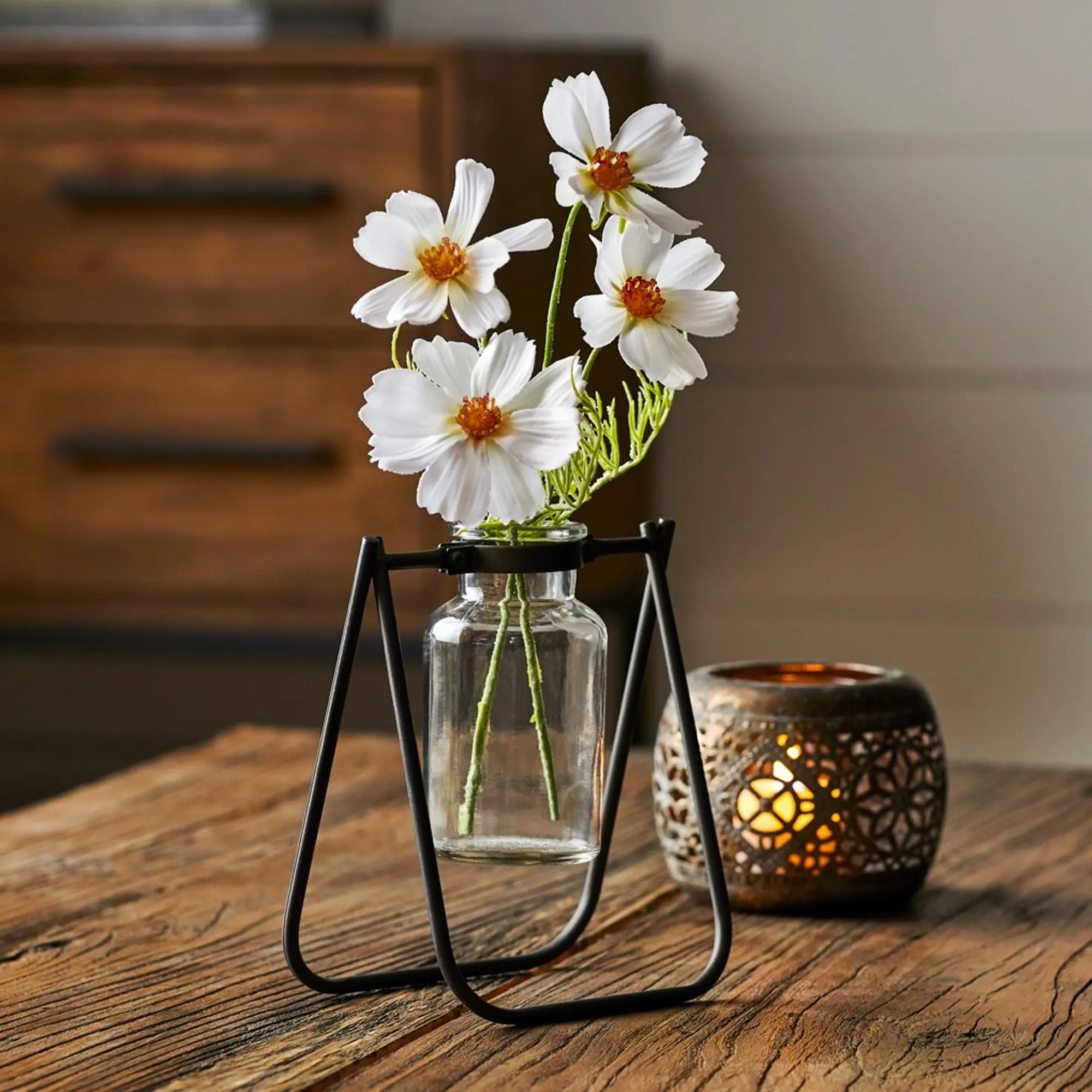 Iron and Glass Jar With Stand-2