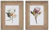 Assorted Protea Floral Print with Wood Frame