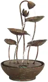 19.5  Lotus Leaf Fountain