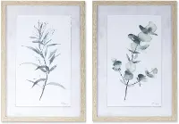 Assorted Eucalyptus Framed Art