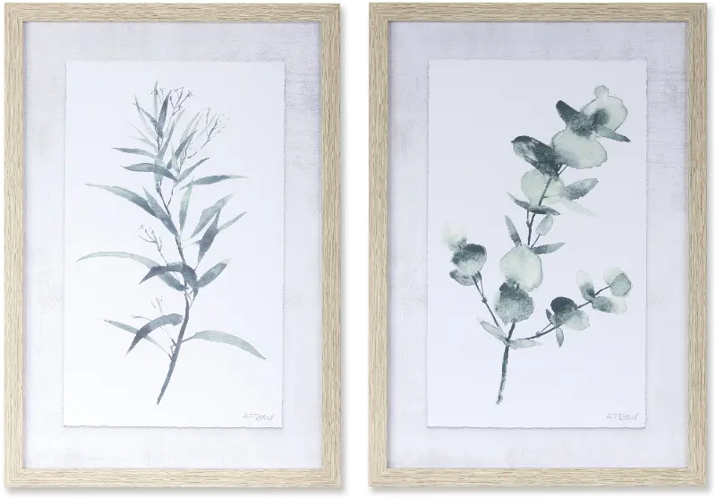 Assorted Eucalyptus Framed Art
