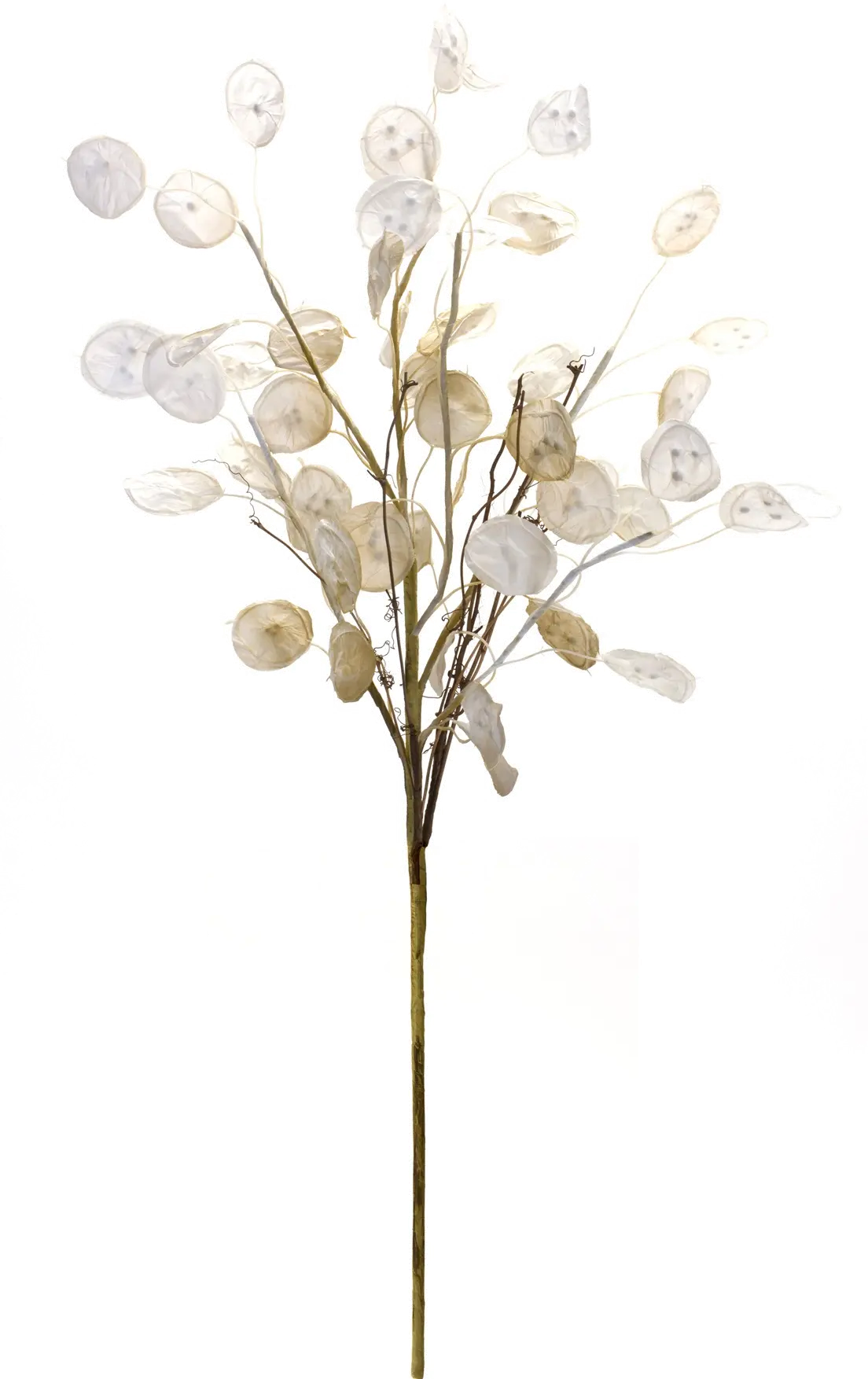 31.5  Silver Dollar Stem Spray-3