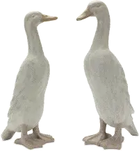 Assorted Standing Duck