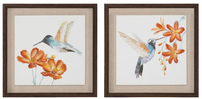 Assorted 12 Inch Hummingbird Print