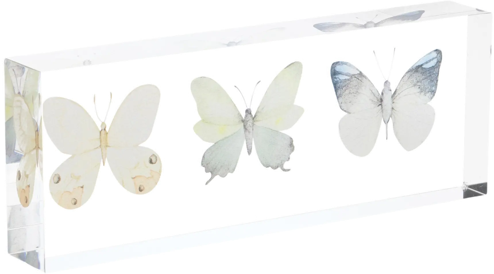 Acrylic Butterfly Block Decor-1