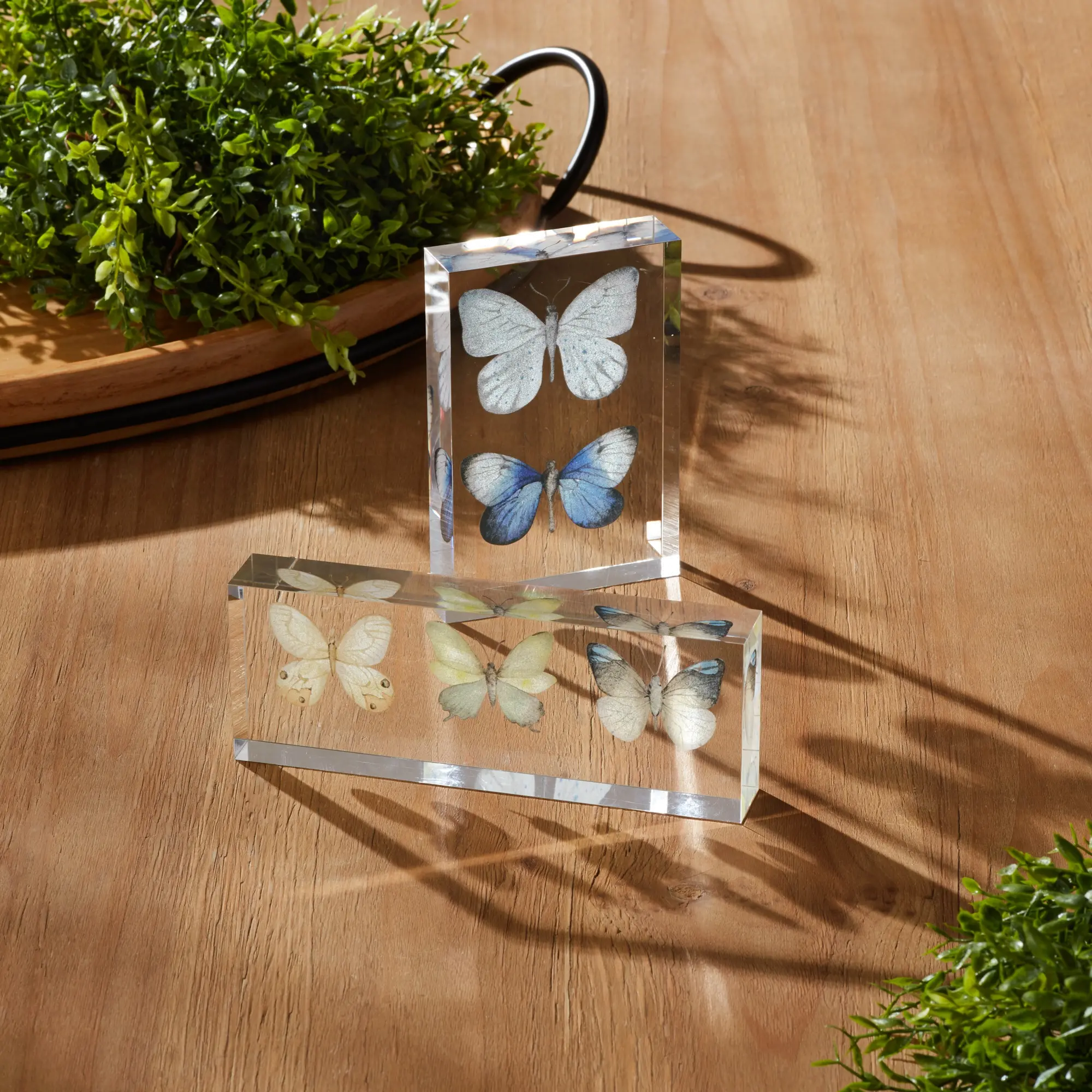 Acrylic Butterfly Block Decor-2