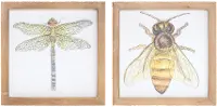 Assorted Insect Framed Plaque