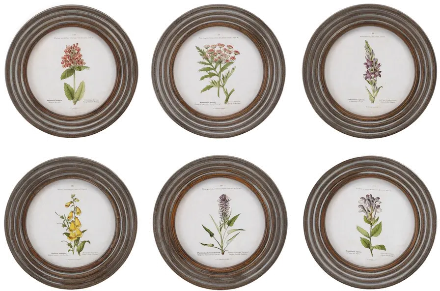 Assorted Wood Framed Floral Prints-1