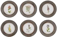 Assorted Wood Framed Floral Prints
