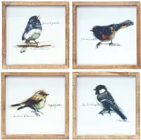 Assorted Wood Framed Bird Prints