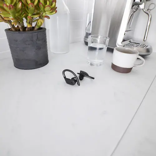 MY582LL/A Beats Powerbeats Pro Totally Wireless Earbuds - Black-2