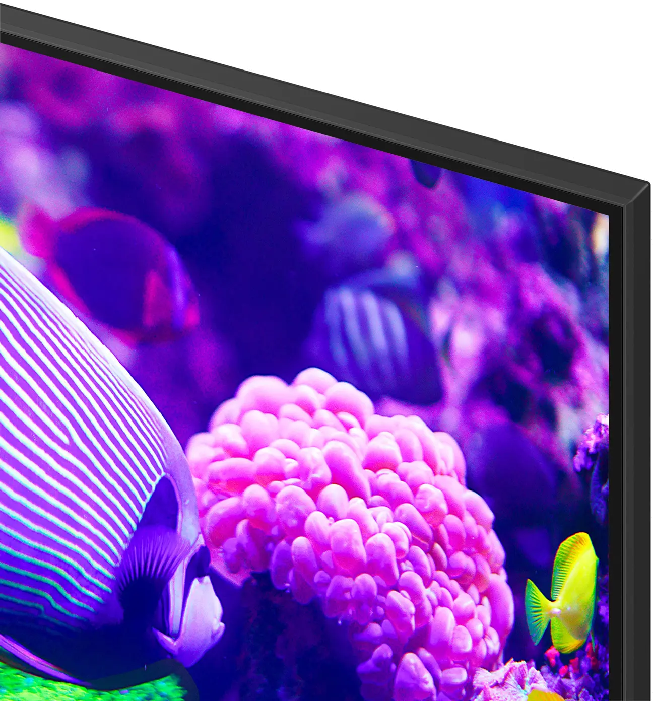 UN43DU7200FXZA Samsung 43  DU7200 Crystal UHD LED TV-2
