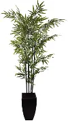 Black Bamboo Tree in Black Vase