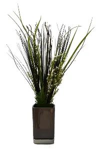 20  Grass and Willow Plant in Ceramic Pot