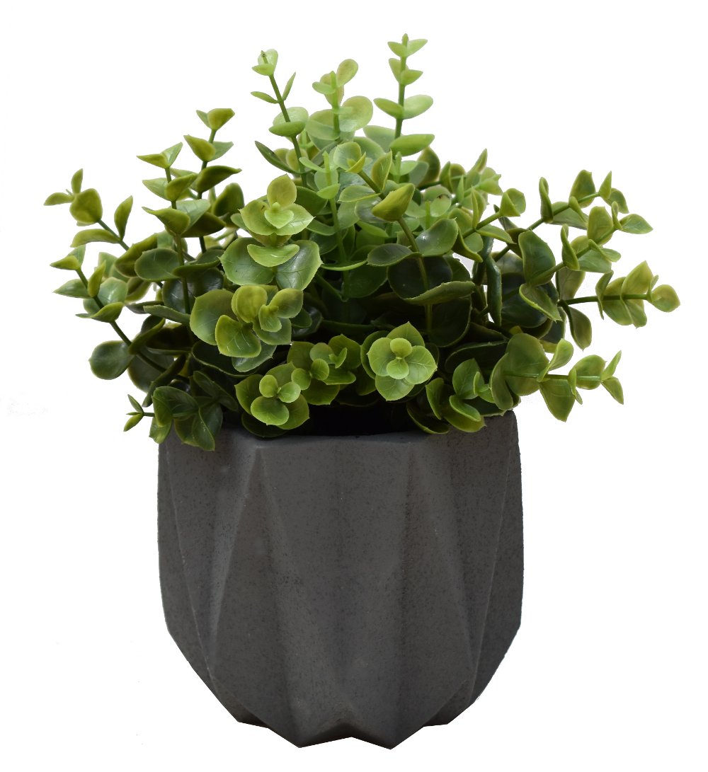 10" Sage Green Eucalyptus Ceramic Planter