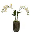 Real Touch Orchid in Ceramic Pot