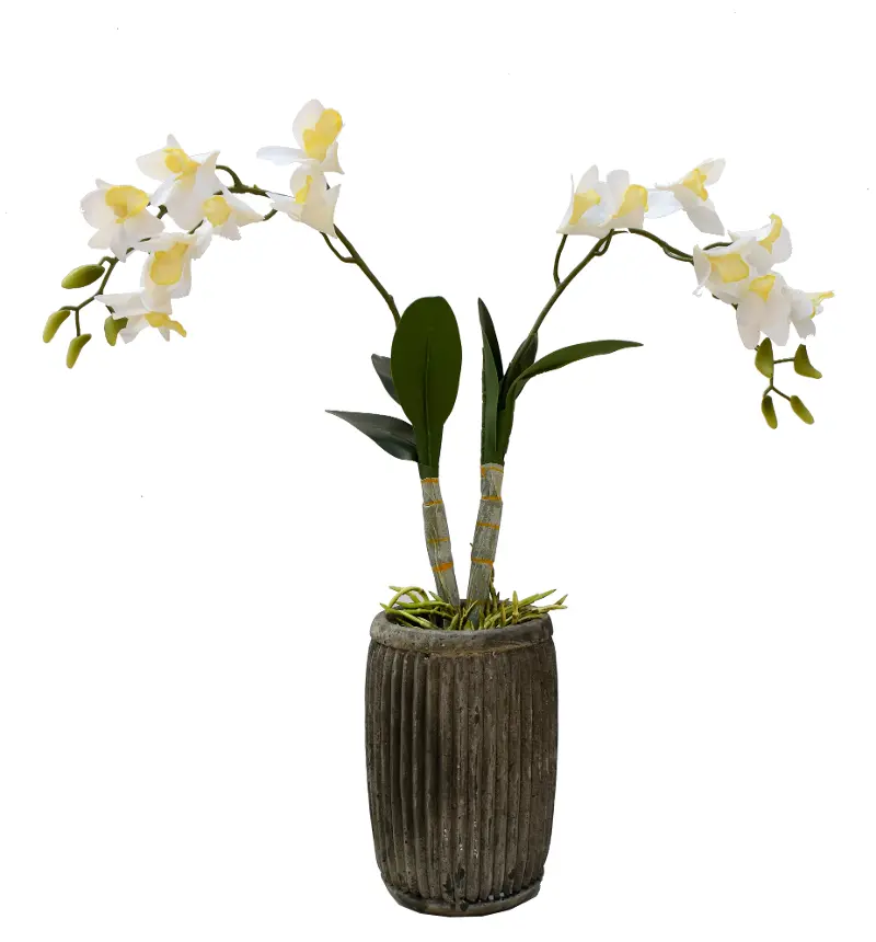 Real Touch Orchid in Ceramic Pot