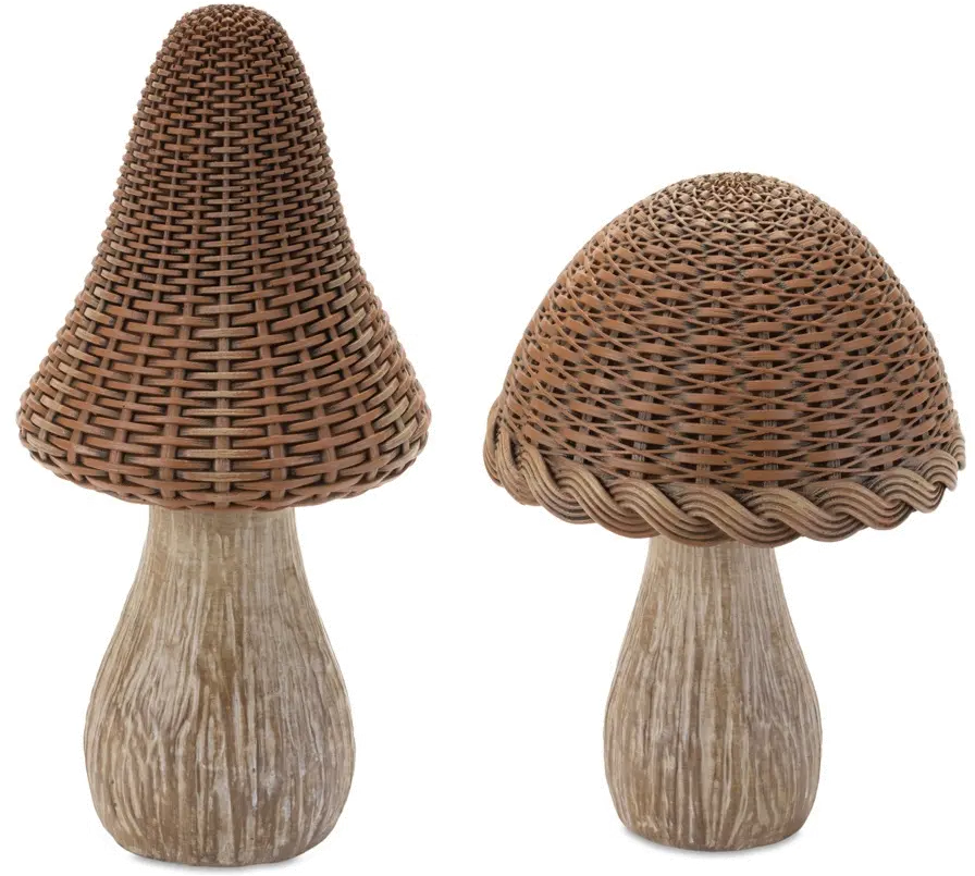 Large 9.5  Mushroom-1