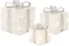 Large LED Silver and White Present