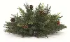 13 Inch Arborvitae Half Plastic Orb