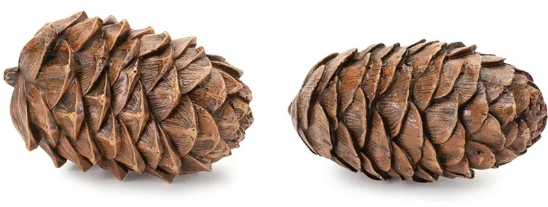 Melrose Pine Cones Set of 2