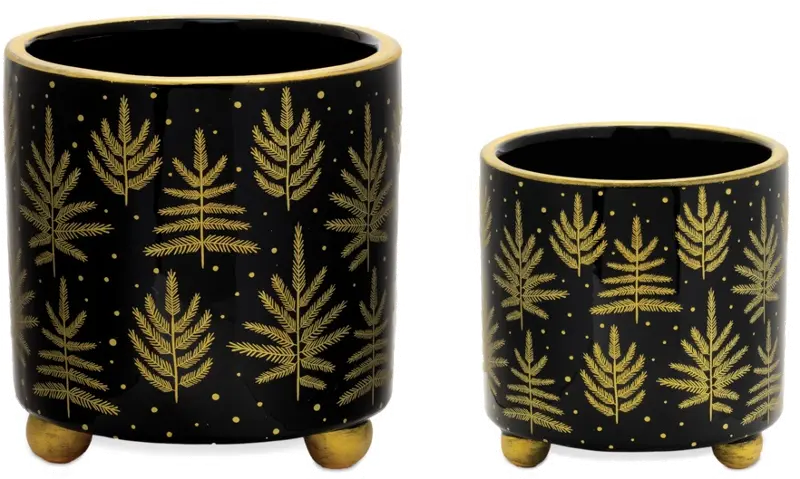 Large 5.75 Inch Black and Gold Dolomite Container