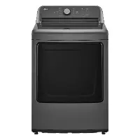 DLG6101M LG 7.3 Cu Ft Gas Dryer - Monochrome Gray