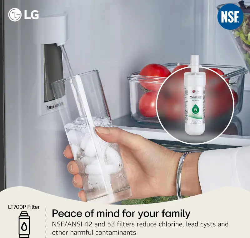 LT700P LG Replacement Water Filter - LT700P-9