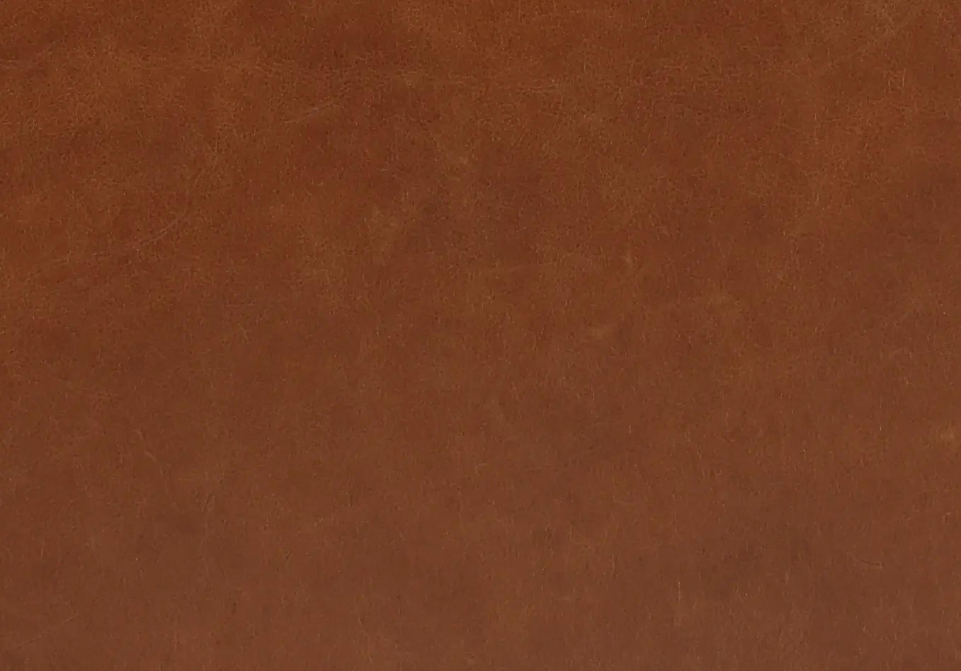Splendor Brown Leather Sofa-8