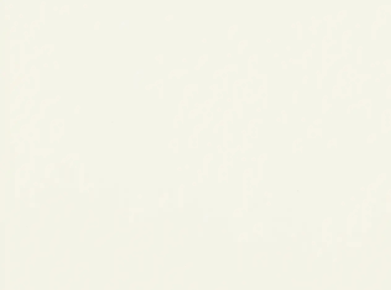 Olivia French White Chest of Drawers-10