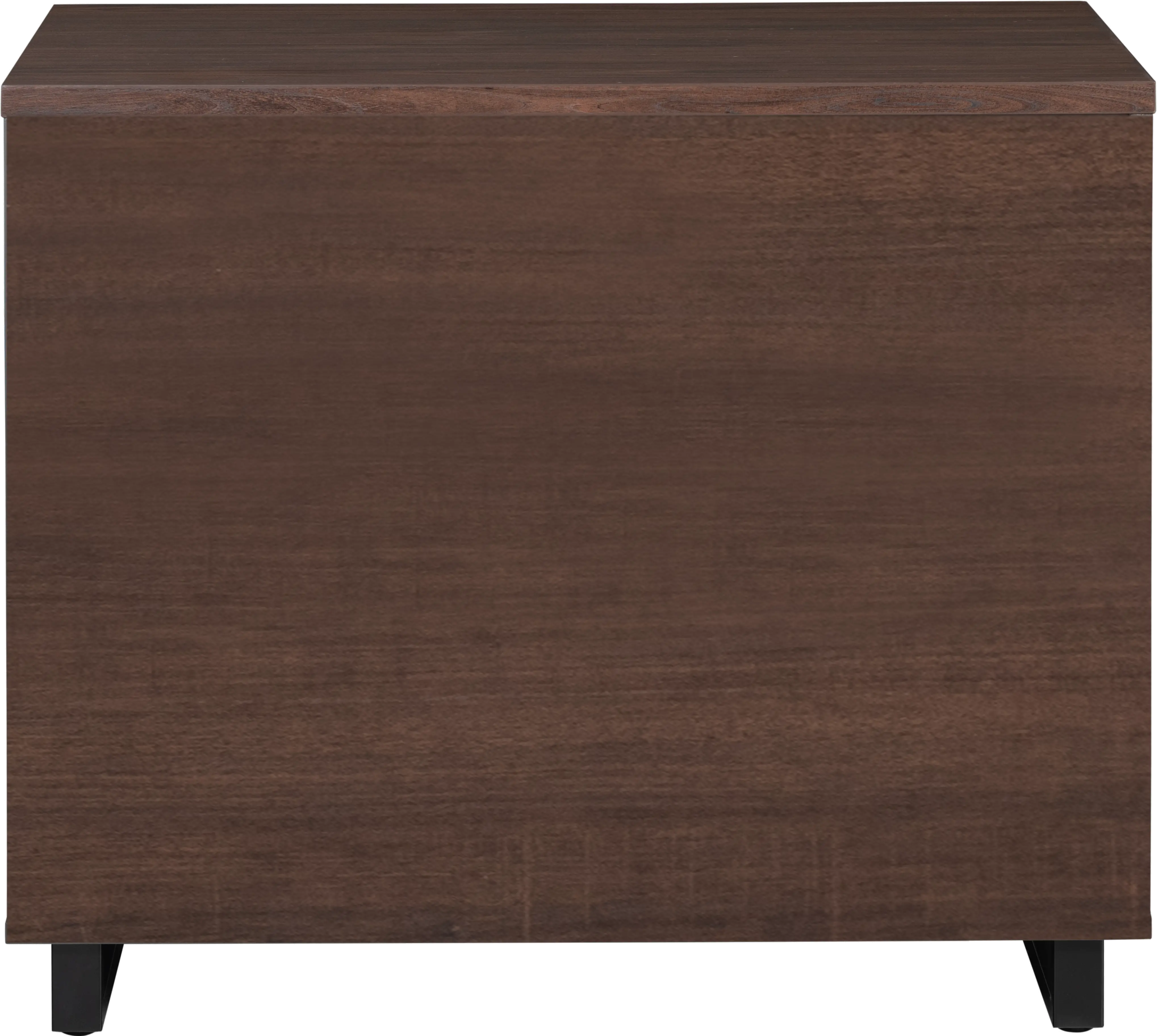 Bisana Brown Lateral File-4