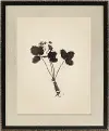 Pressed Botanical Framed Wall Art
