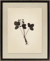Pressed Botanical Framed Wall Art