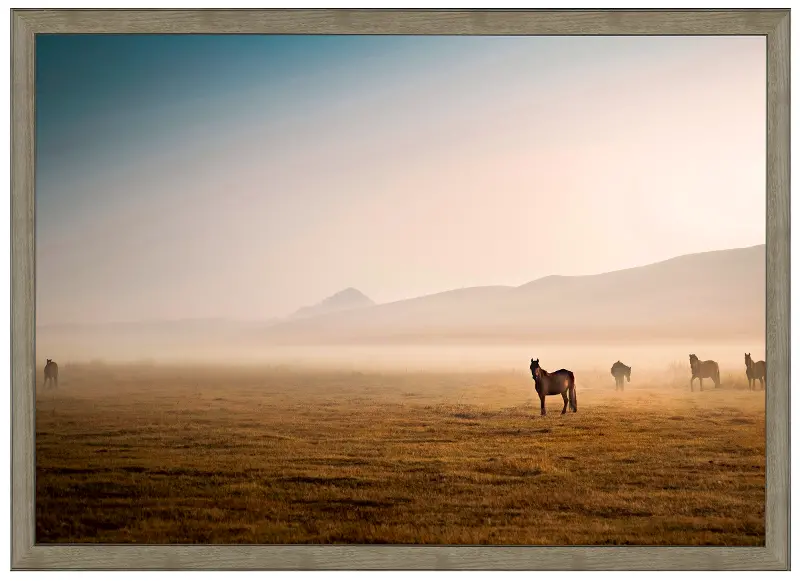 Desert Horses Linen Finish Framed Print