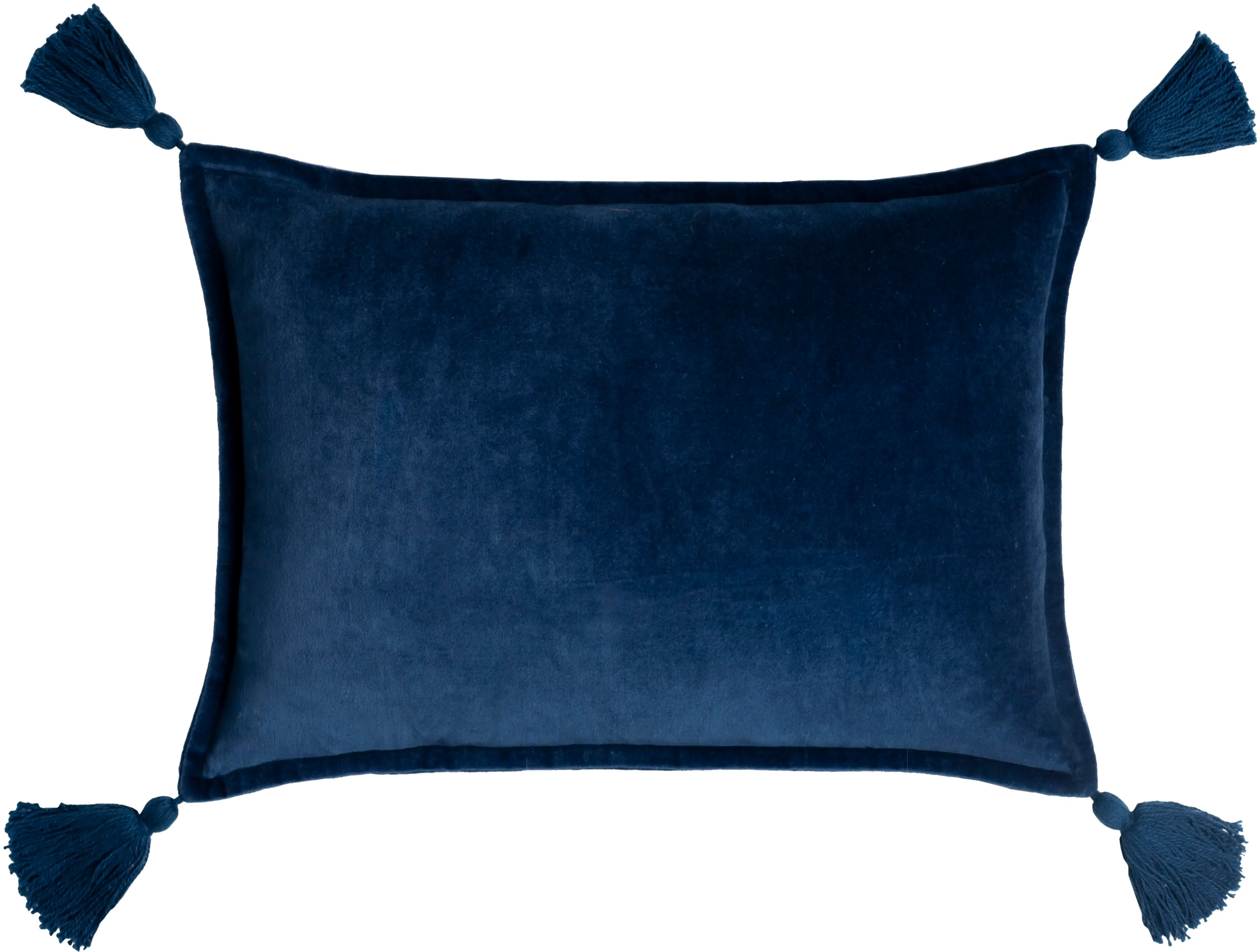 CV045-1319P 13  Velvet Navy Tassel Throw Pillow-1