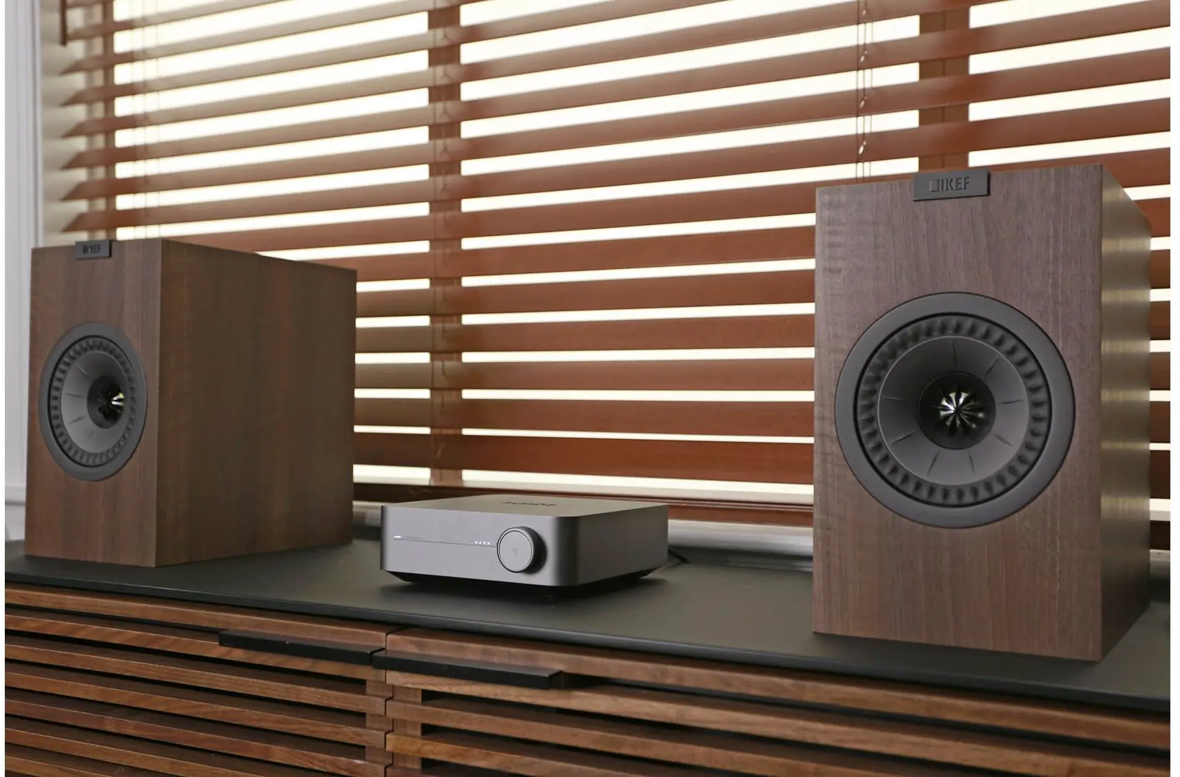 WiiM Amp Pro-5