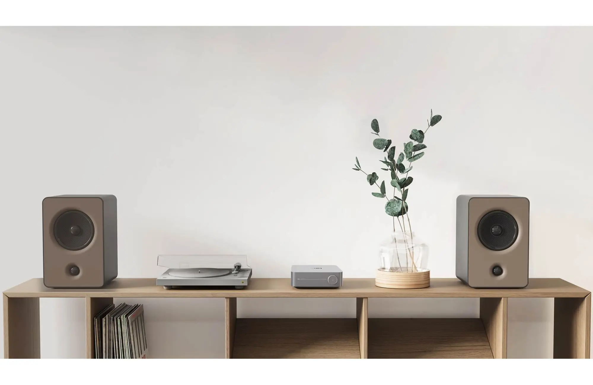 WiiM Amp Pro | RC Willey