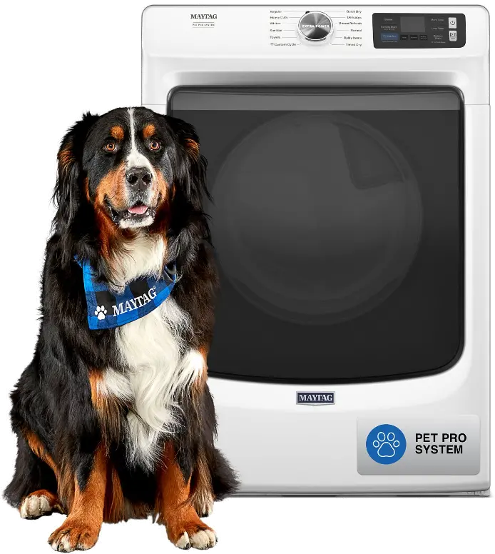 MED7020RW Maytag 7.4 Cu Ft Smart Pet Pro Electric Dryer - White-1