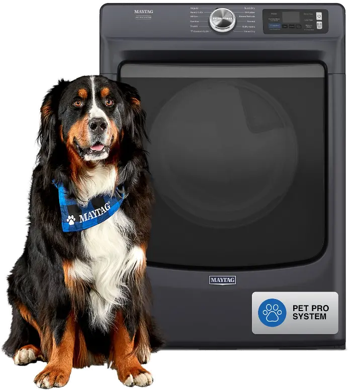 MED7020RF Maytag 7.4 Cu Ft Smart Pet Pro Electric Dryer - Midnight Steel-1